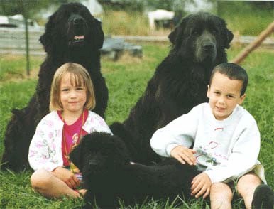 Pawley, Gale, Cody, Sarah, and Ethan