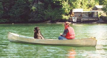 Newf
                  in Canoe